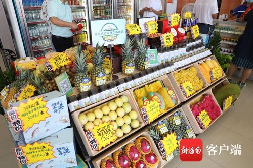 創(chuàng)新扶貧模式 樂東農(nóng)副產(chǎn)品在服務(wù)區(qū)上架